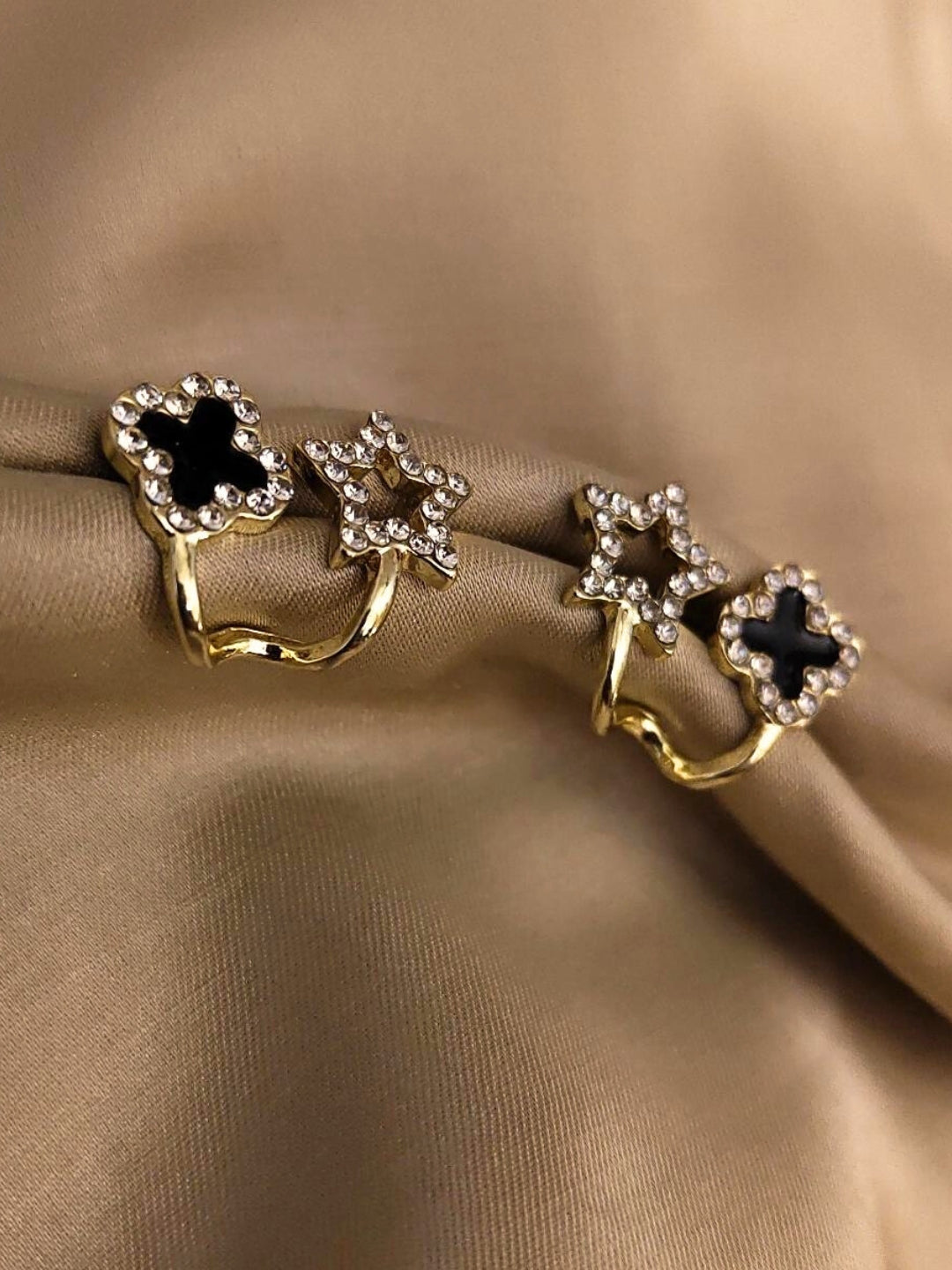 Star Clove Studs