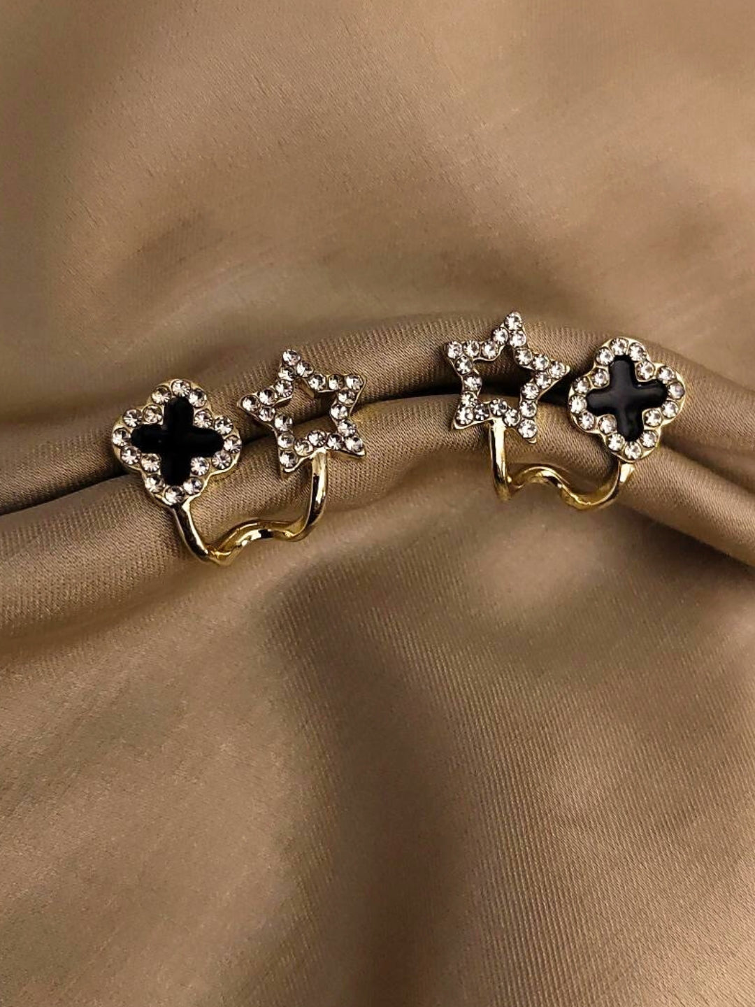 Star Clove Studs
