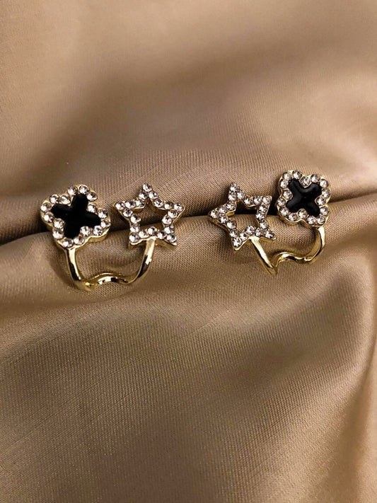 Star Clove Studs
