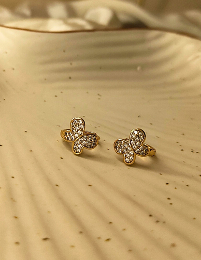 Butterfly Hoops